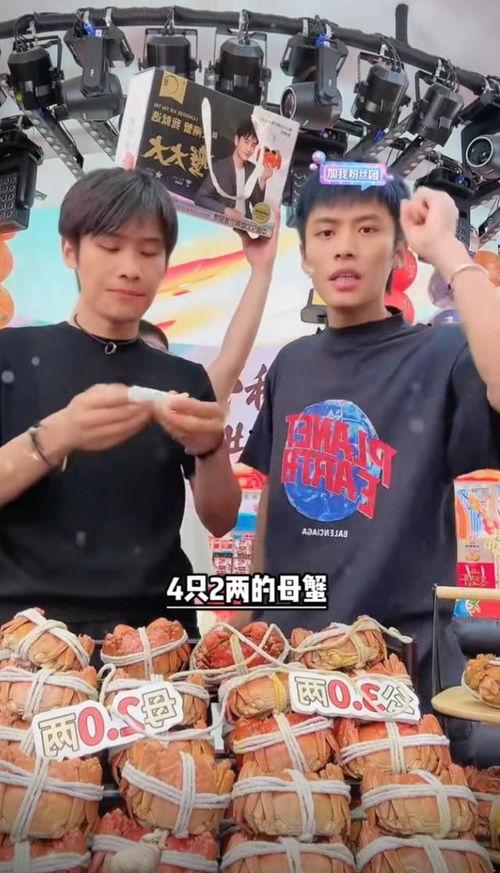 今日爆料小杨哥视频,揭秘背后惊人真相！